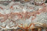 Polished Crazy Lace Agate Section - Mexico #326125-1
